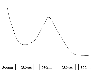 rna 定量 吸光度 krob