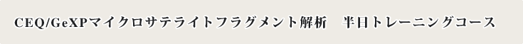 CEQ/GeXPマイクロサテライトフラグメント解析 半日トレーニングコース