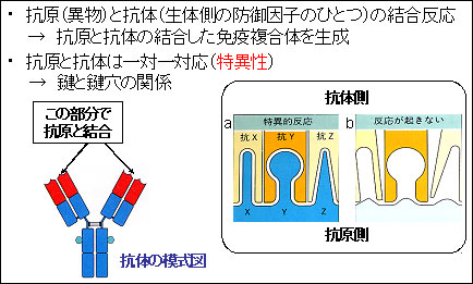 �R���E�R��