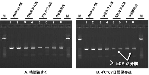 Figure 1B.