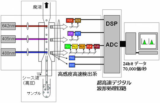 ハイスピード フローサイトメーター 原理概略図