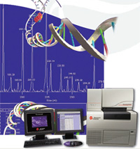 DNA��̓V�X�e��