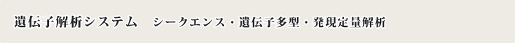 ��`�q��̓V�X�e��  �V�[�N�G���X�E��`�q���^�E������ʉ��