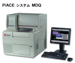 �L���s�����[�d�C�j���V�X�e��
P/ACE�V�X�e��MDQ