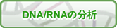 DNA/RNA�̕���