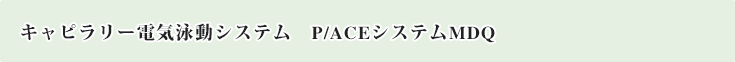 キャピラリー電気泳動装置 キャピラリー電気泳動システム P/ACEシステムMDQ