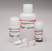 PCR�����Y���̐�������L�b�g AMPure Kits