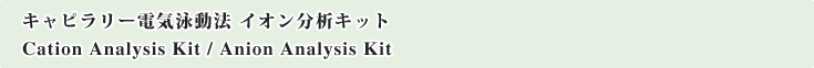 �L���s�����[�d�C�j���@ �C�I�����̓L�b�g Cation Analysis Kit / Anion Analysis Kit