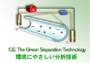 アセトニトリルを用いないキャピタリー電気泳動