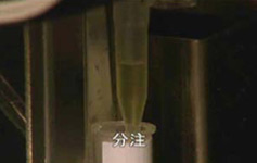 �I�[�g���[�g800�摜4