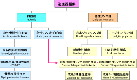 造血器腫瘍アトラス 形態、免疫、染色体から分子細胞治療へ 医学