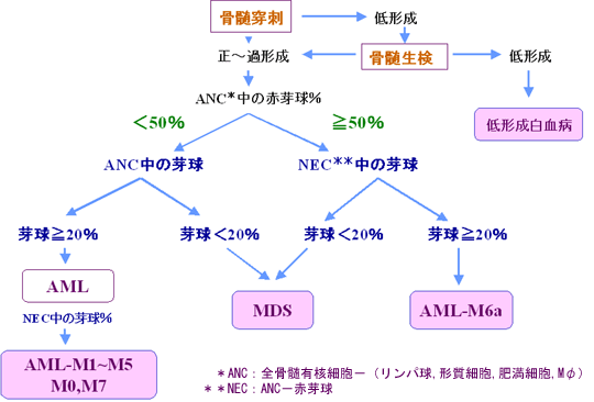 FAB分類からみるAML診断の過程