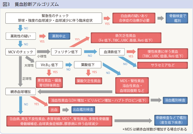 図3　貧血診断アルゴリズム