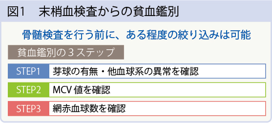 図1　末梢血検査からの貧血鑑別