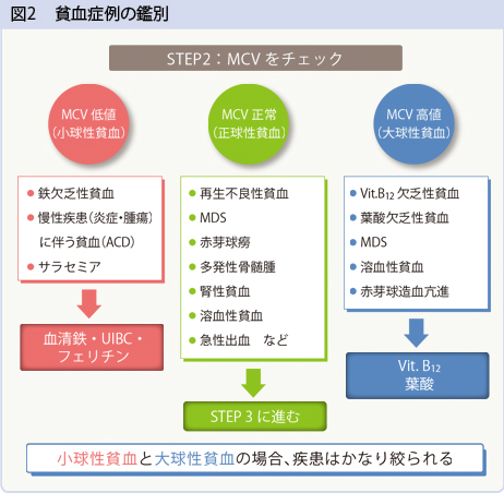 図2　貧血症例の鑑別