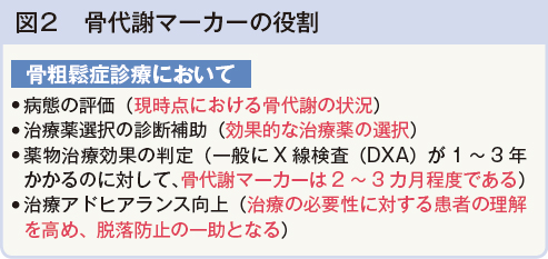 図2　骨代謝マーカーの役割