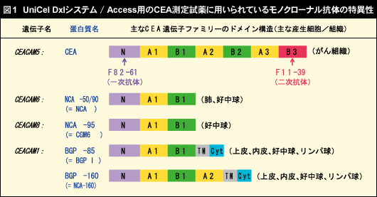 図１