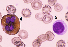 case2